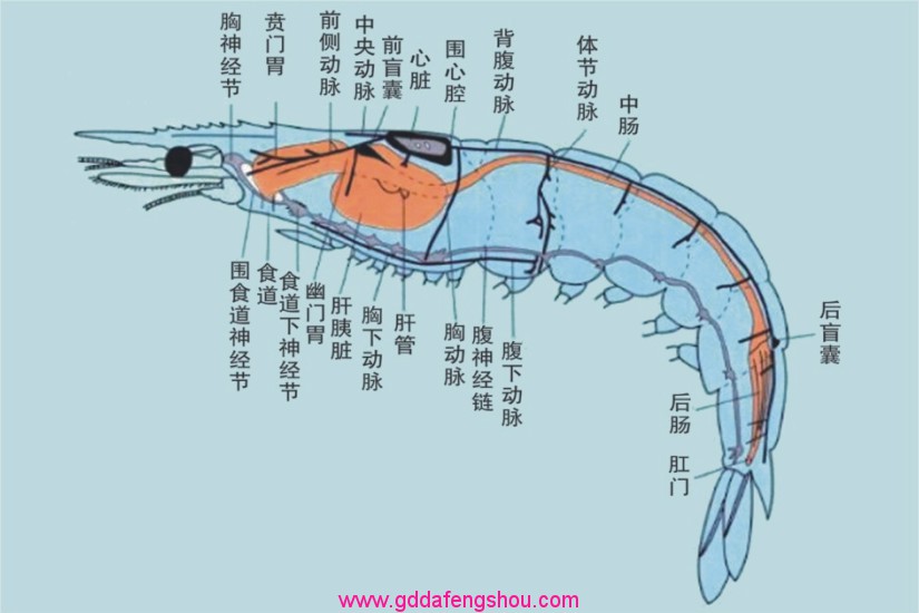 圖片關鍵詞